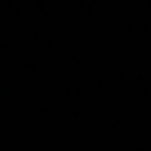 Meet your Posher, Joshua